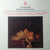J.S. Bach* - Orchestre De Chambre Jean-François Paillard, Luciano Sgrizzi - Trois Concertos (LP, Album)