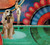 Dr. Buzzard's Original Savannah Band - Dr. Buzzard's Original Savannah Band (LP, Album, RE)