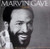 Marvin Gaye - Motown Superstar Series Volume 15 (LP, Comp)