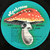 Ian Matthews* - Stealin' Home (LP, Album, PRC)_2743602589