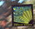 Creedence Clearwater Revival - Bayou Country (LP, Album, Ind)_2648418483