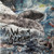 A Wilhelm Scream - Partycrasher (LP, Album, Blu)