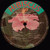 Bing Serrao & The Ramblers - Boys' Night Out with Bing Serrao and the B.W.I.A. Ramblers (LP)