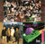 Smash Mouth - Fush Yu Mang (CD, Album, Club)_3293257373