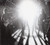 The Black Crowes - The Southern Harmony And Musical Companion (CD, Album, Spe)