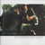 Tim McGraw - Live Like You Were Dying (CD, Album)_3356901972