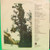 Tufano* - Giammarese* - Tufano-Giammarese (LP, Album)