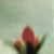 Nine Inch Nails - The Fragile (2xCD, Album, CMC)_3531143741