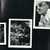 The Wallflowers - Bringing Down The Horse (CD, Album, Club, CRC)_3587684283