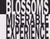 Gin Blossoms - New Miserable Experience (CD, Album, Club)_3598563816