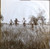 The Guess Who - Share The Land (LP, Album, Roc)_3881153893