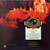 Rick Wakeman - Journey To The Centre Of The Earth (LP, Album, Pit)_3948520450