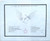 Paul Kantner, Jefferson Starship - Blows Against The Empire (LP, Album, Roc)