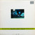 The Del Fuegos - Boston, Mass. (LP, Album, All)