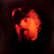 Bob Seger & The Silver Bullet Band* - The Distance (LP, Album, Win)