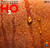 Daryl Hall + John Oates* - H₂O (LP, Album, Ind)