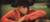 Garth Brooks - The Ultimate Collection (Box, Tar + CD, Comp + CD, Comp + CD, Comp + 2xCD, )