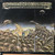 Commander Cody And His Lost Planet Airmen - Live From Deep In The Heart Of Texas (LP, Album, Son)