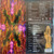 Various - X-Static Volume 5 - Media Heaven (2x12", Comp)