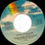 Waylon Jennings - Rose In Paradise (7", Single, Pin)
