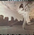 Henry Gross - Plug Me Into Something (LP, Album, Mon)