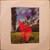 Pink Floyd - Wish You Were Here (LP, Album, Ter)_4136707935