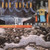 Bob Mould - Poison Years (CD, Comp)