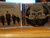 Kid Rock - Cocky (CD, Album)_4152177984