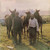 The Ozark Mountain Daredevils - Men From Earth (LP, Album, Ter)_4175030757