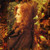 Bonnie Raitt - Fundamental (CD, Album, Club)_4189382133