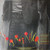 Graham Parker And The Rumour - The Parkerilla (2xLP, Album, Kee)