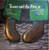 Cat Stevens - Teaser And The Firecat (LP, Album, Ter)_4257194115