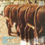 Nitty Gritty Dirt Band - Plain Dirt Fashion (LP, Album, All)