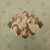 Renaissance (4) - Scheherazade And Other Stories (LP, Album, Pit)_4262545125