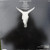 Outlaws - In The Eye Of The Storm (LP, Album, San)_4379368173