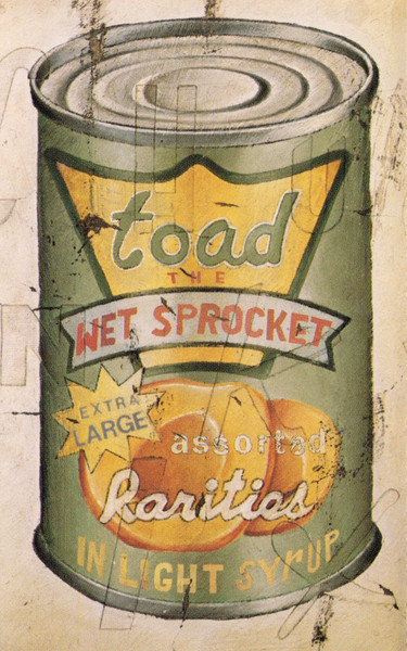 Toad The Wet Sprocket - In Light Syrup (Cass, Comp)
