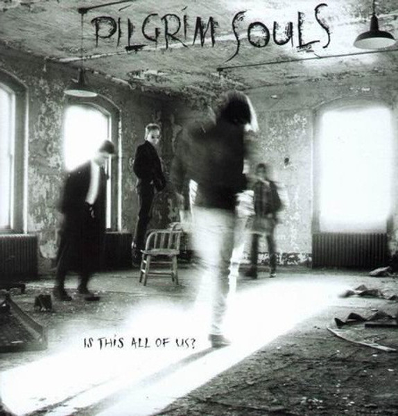 Pilgrim Souls - Is This All Of Us? (LP, Album)