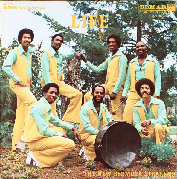 The New Bermuda Stealers - Life (LP, Album)