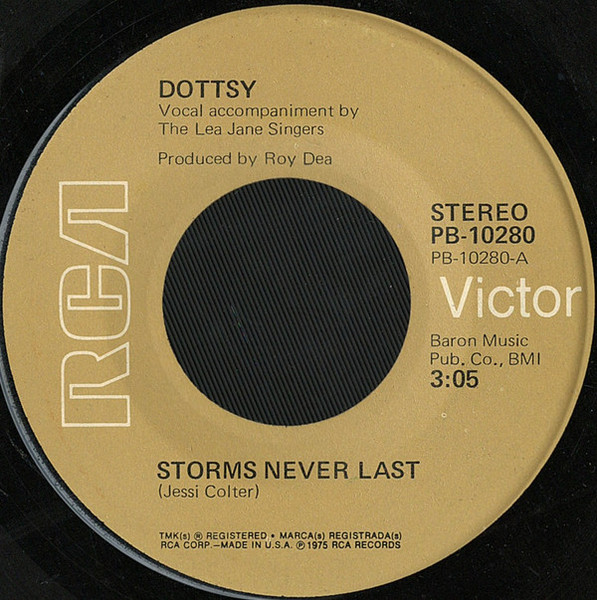 Dottsy - Storms Never Last (7", Single)