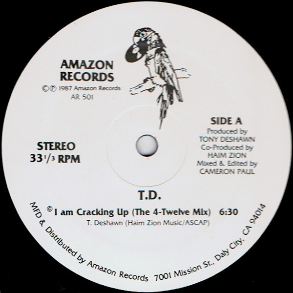 T.D.* - I Am Cracking Up (12")