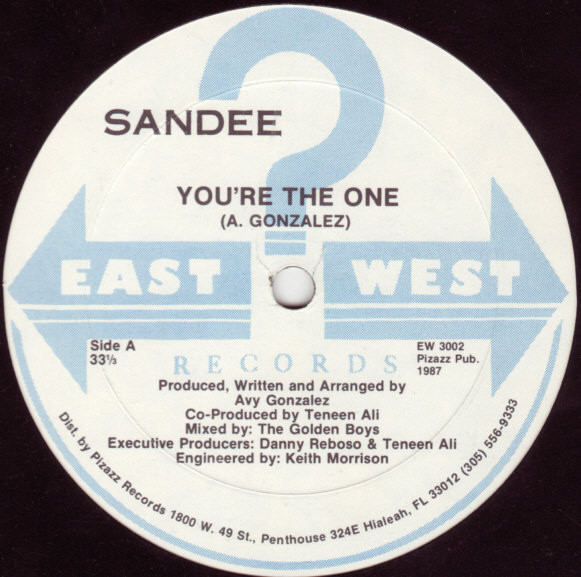 Sandee - You're The One (12")
