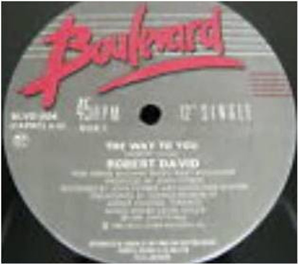 Robert David - The Way To You (12")