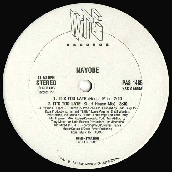 Nayobe - It's Too Late (12", Promo)