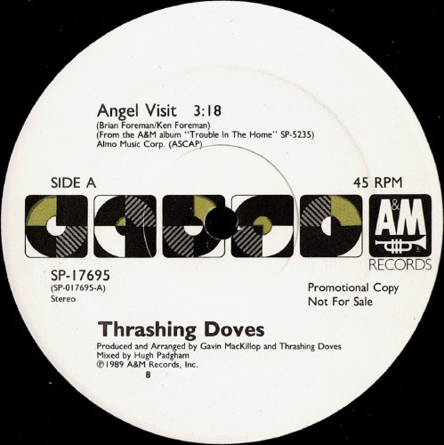 Thrashing Doves - Angel Visit / Je$u$ On The Payroll (12", Promo)