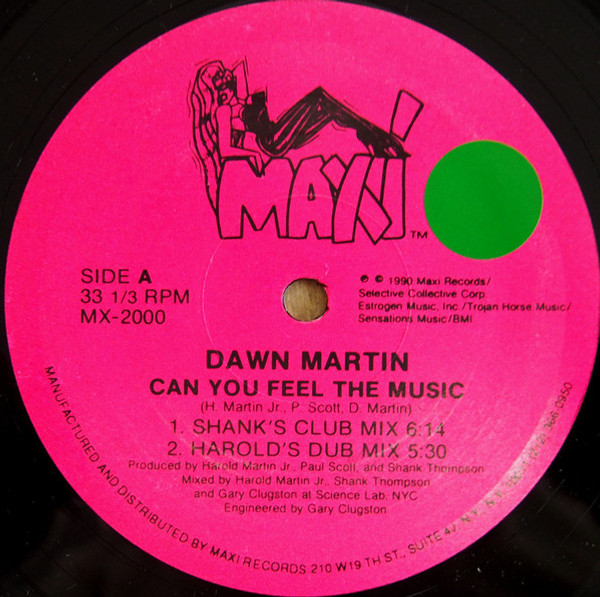 Dawn Martin - Can You Feel The Music (12")