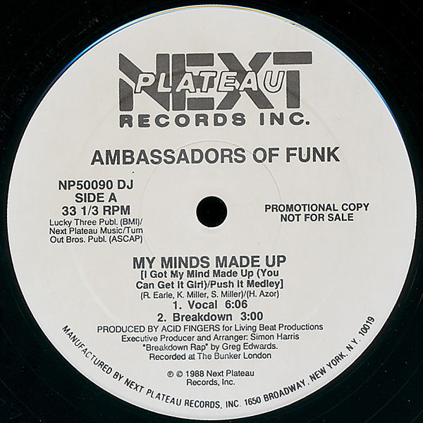 Ambassadors Of Funk - My Minds Made Up (12", Promo)