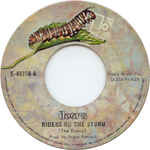 The Doors - Riders On The Storm (7", Single, RP)