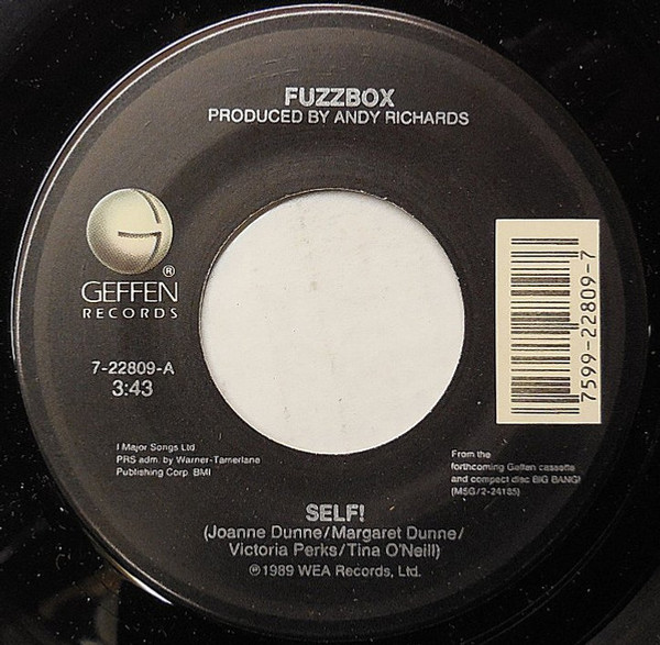 We've Got A Fuzzbox And We're Gonna Use It - Self ! - Geffen Records - 7-22809 - 7", Single 1088695672