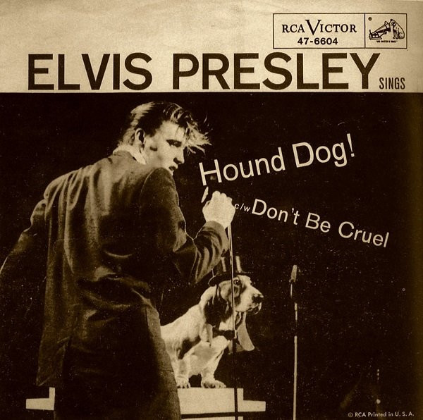【中古】DVD HOUND DOG THE ROLLING 50's 中古】DVD HOUND DOG THE ROLLING 50's Amazon.co.jp: HOUND DOG