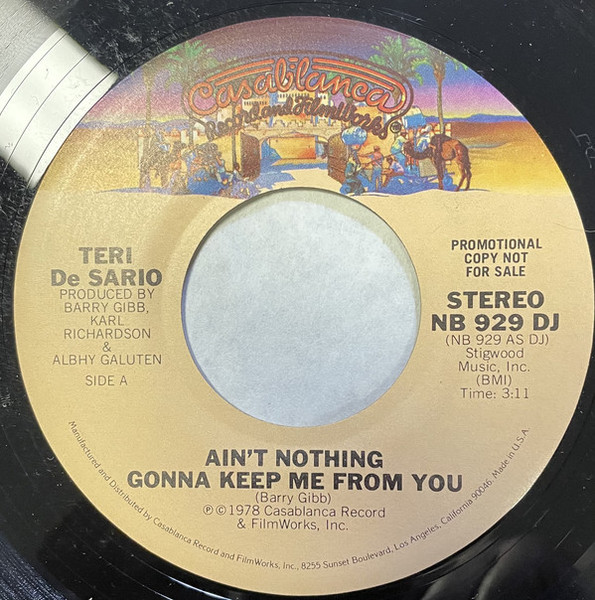 Teri De Sario* - Ain't Nothing Gonna Keep Me From You (7", Single, Promo)